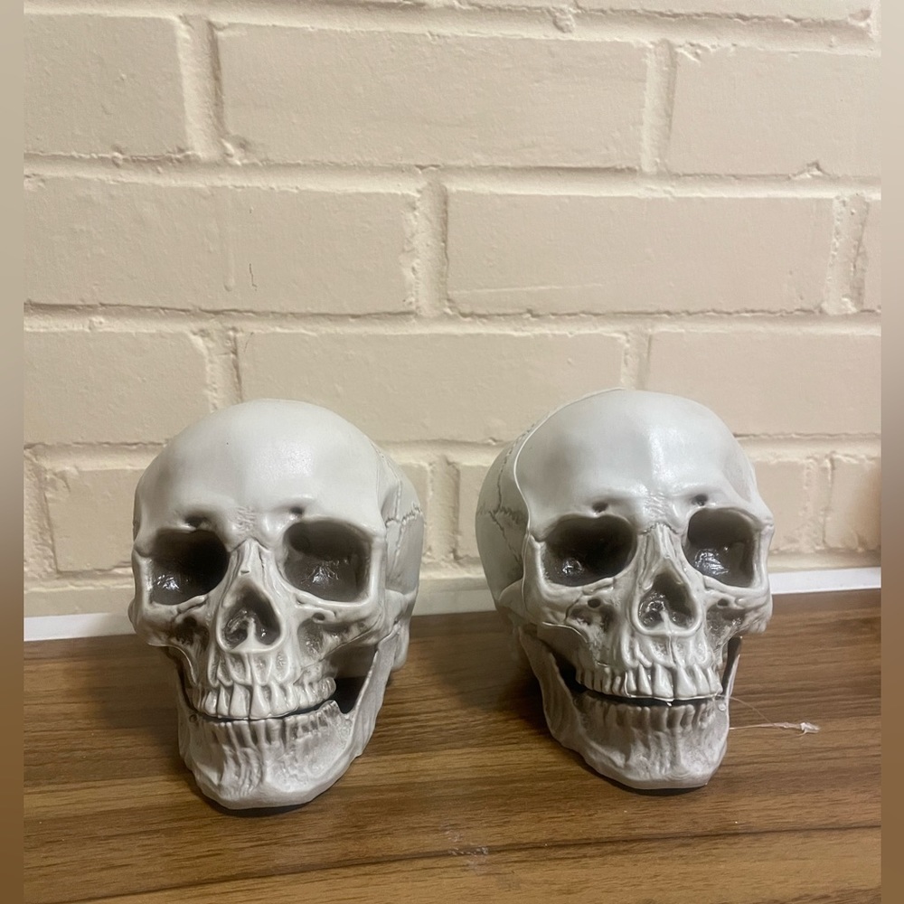 Set of 2 Skeleton Decor Pieces